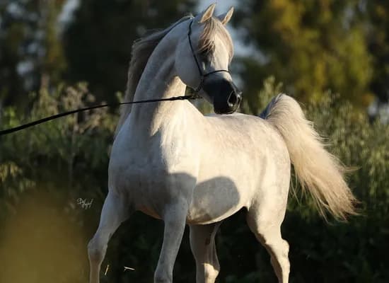 061ce63a b66c 44bf 90df cb030427a14f