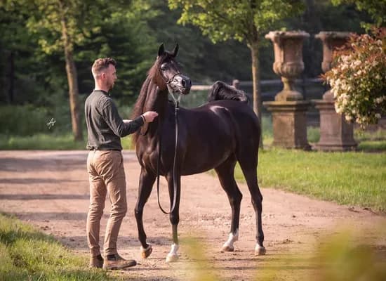 2dfded66 86ad 4d62 b671 285e68a7eb0f