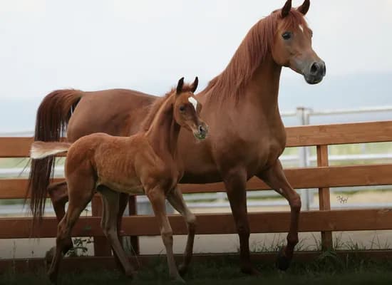 3617ee15 06ad 4c58 af6f 7ca6c2798176