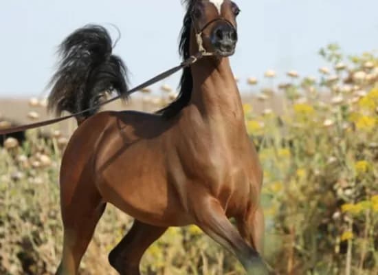 85f14fb5 64e9 4ba9 8c3b 7961c9c1096c