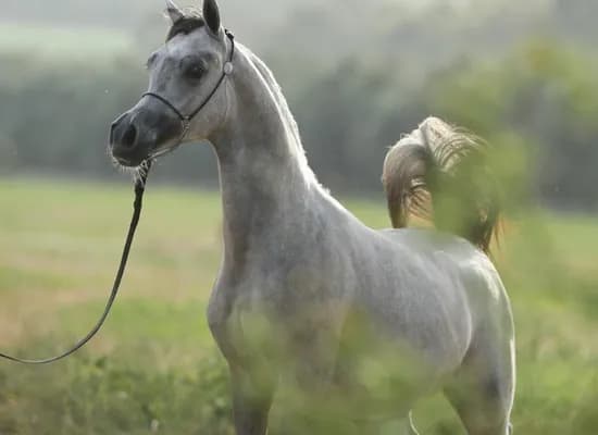 8ac2cdd5 5296 40b8 b089 2d65701ea17d