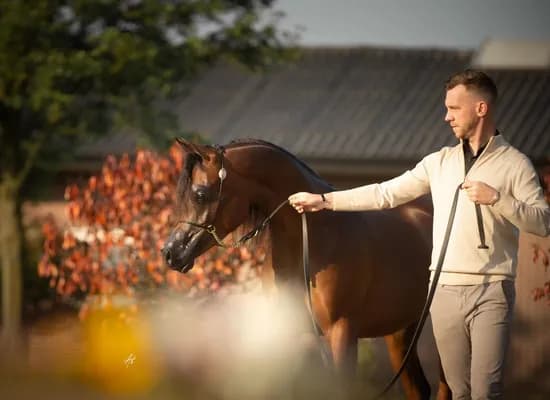 cdfb956b c826 47e4 a28c 37900d65ea35