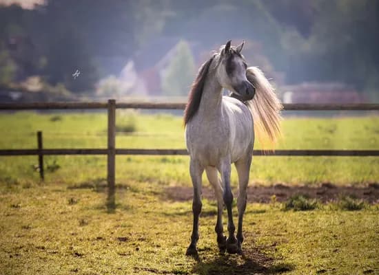 db22b54c dc8f 4d0e 9ea8 f5da4f43c1b1