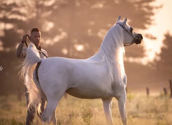 e5e821ab 9b0c 45b5 92e7 ba20dc77cd03